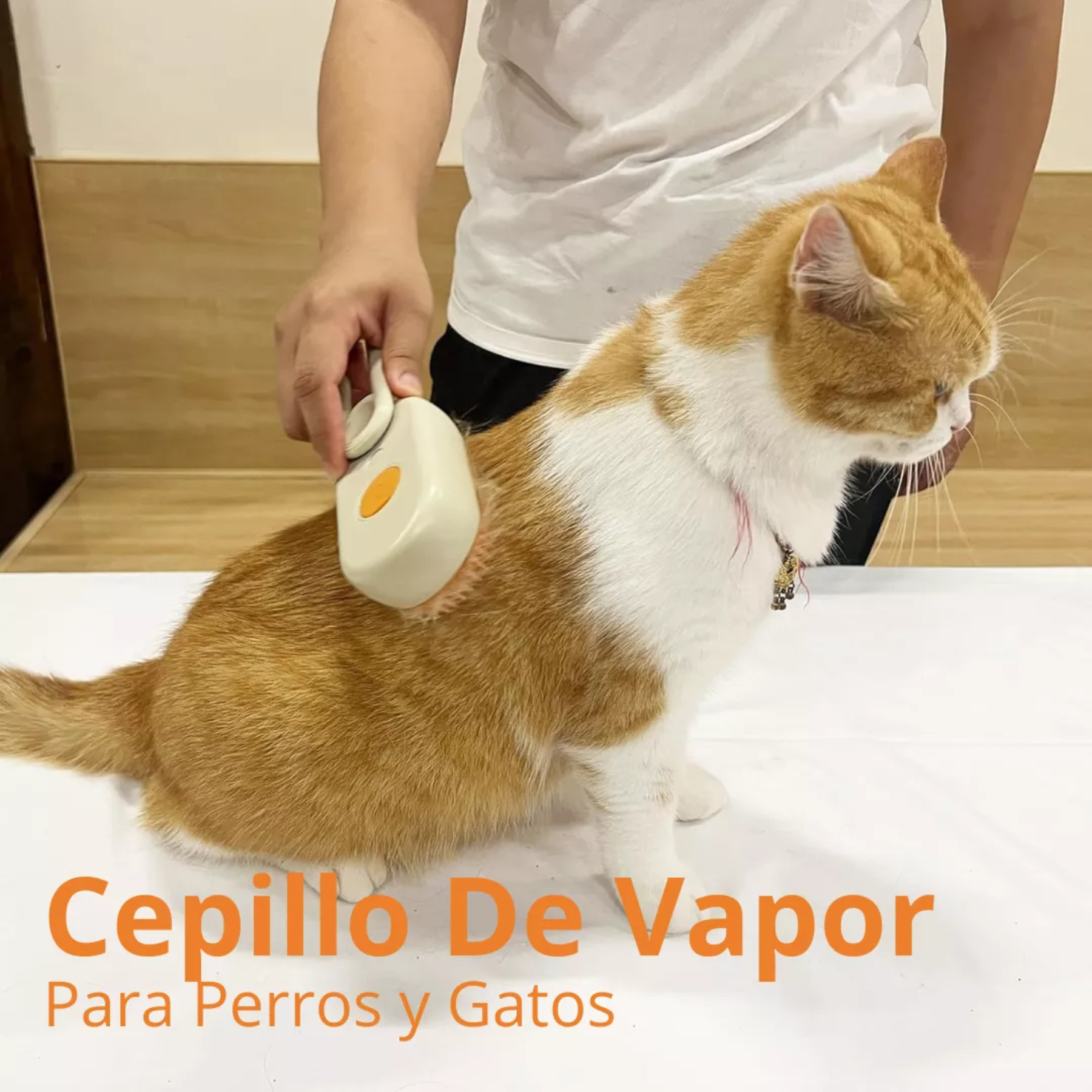 cepillo vaporizador de mascota